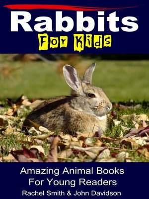 cover image of Rabbits For Kids